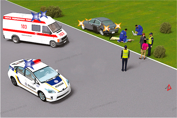 Зображення до питання 14