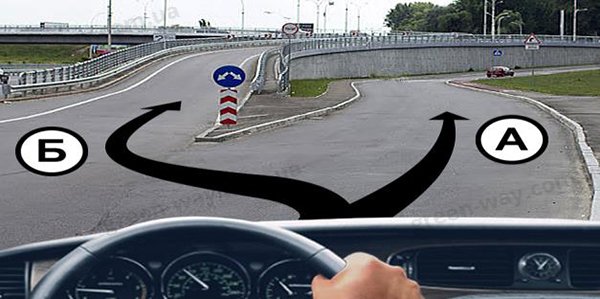 Зображення до питання 16