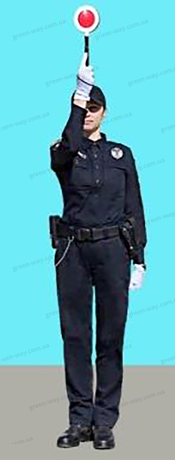 Зображення до питання 8